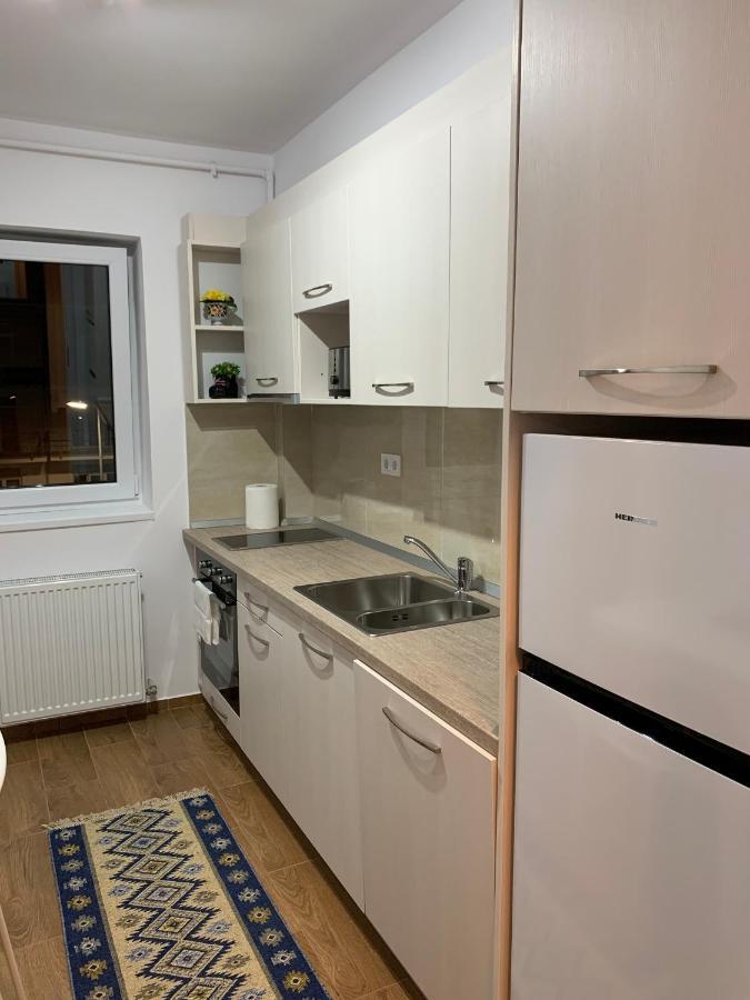 Welcoming Gemini Apartment 1 Sibiu Eksteriør billede