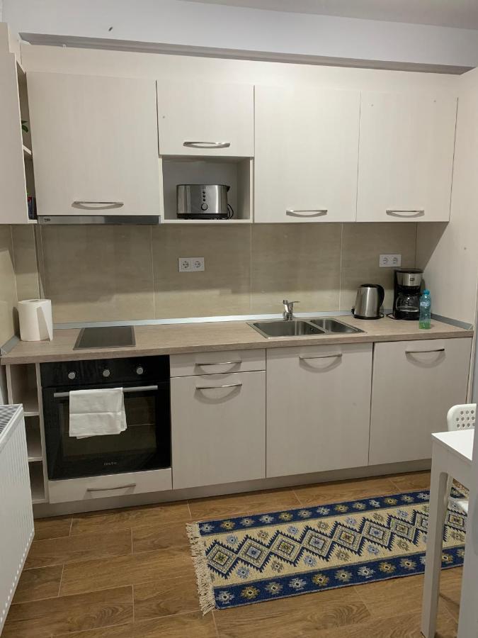 Welcoming Gemini Apartment 1 Sibiu Eksteriør billede